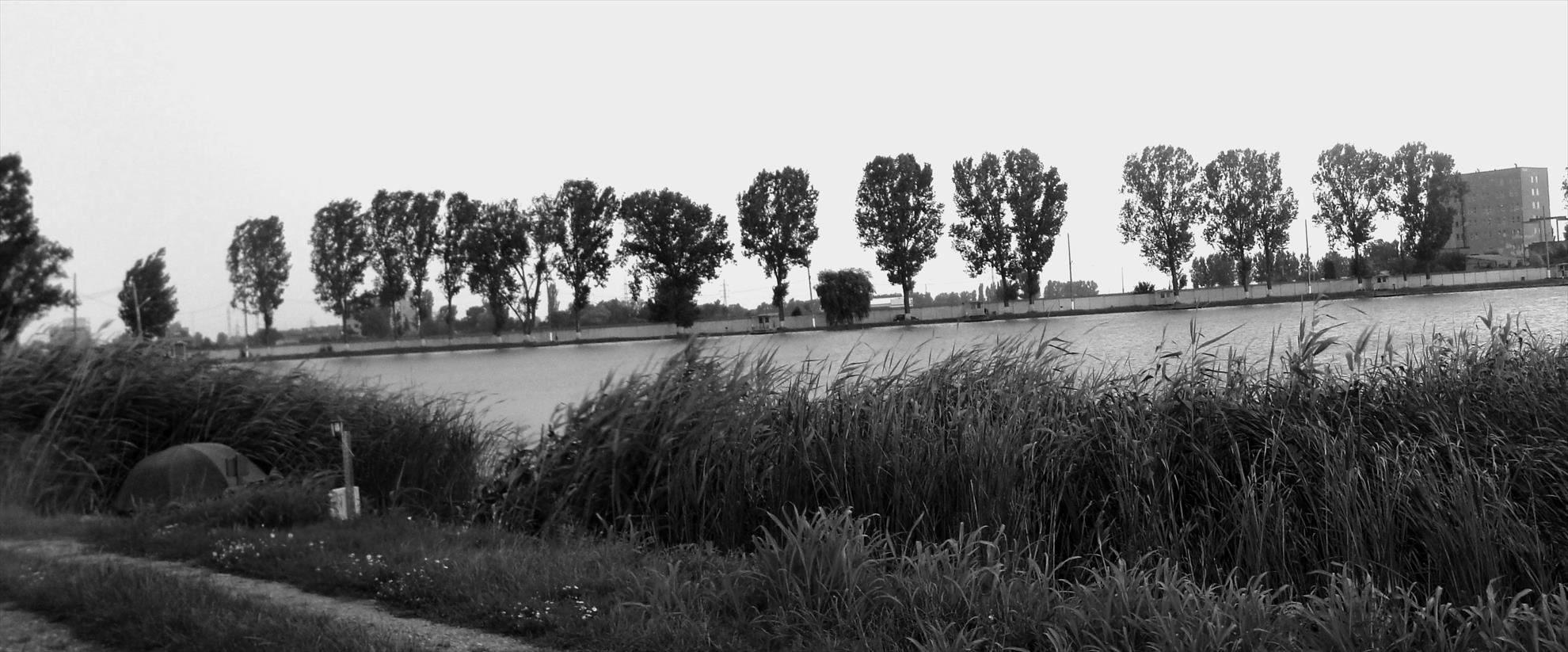 Pleasa 6 - 7 iul. - dsc00821.JPG